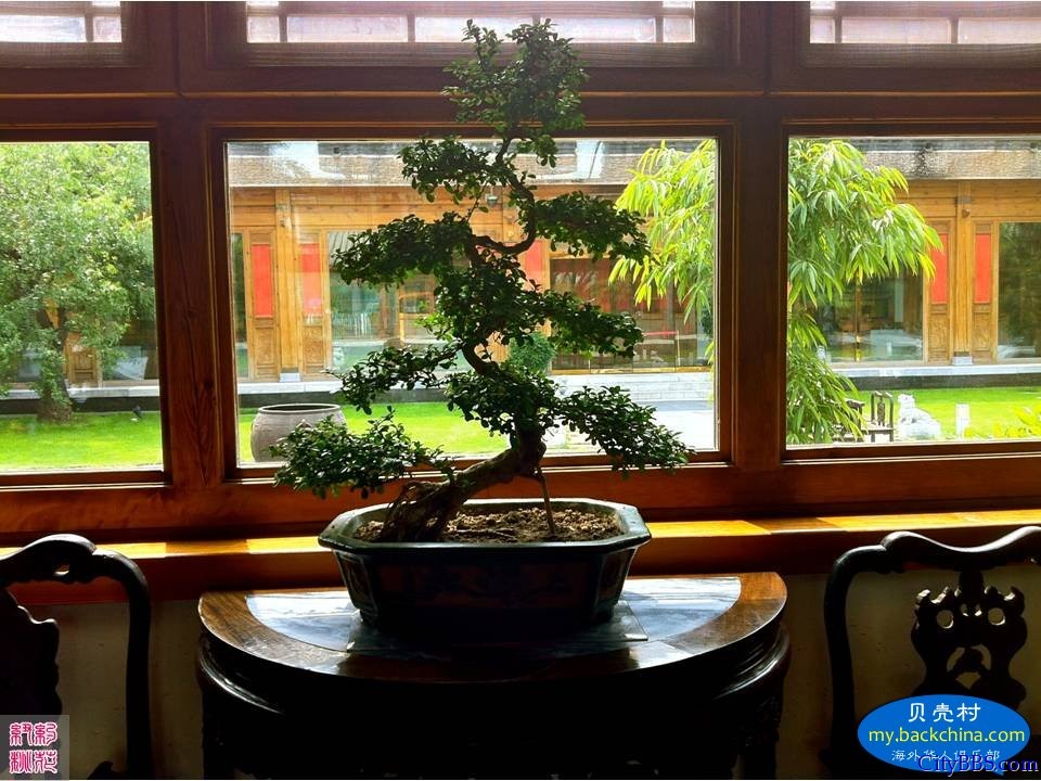 那家小馆宅门菜 那家小馆宅门菜