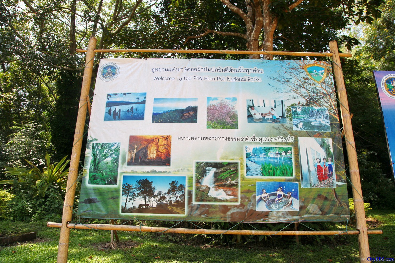 泰国北部 Doi Pha Hom Pak National Parks 泰国森林公园 泰国北部 Doi Pha Hom Pak National Parks 泰国森林公园