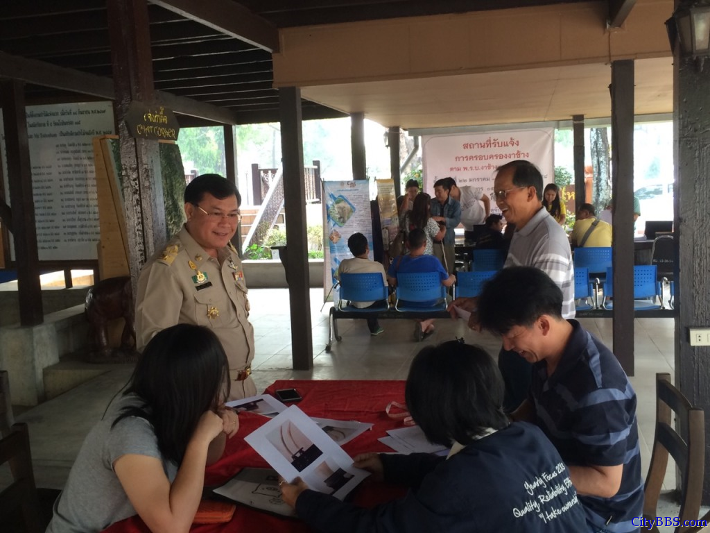 泰国新政：严格限制持有象牙制品及象牙贸易