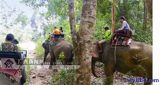 自驾车走云南经老挝游泰国掠影 自驾车走云南经老挝游泰国掠影